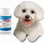 Glow Groom discount code